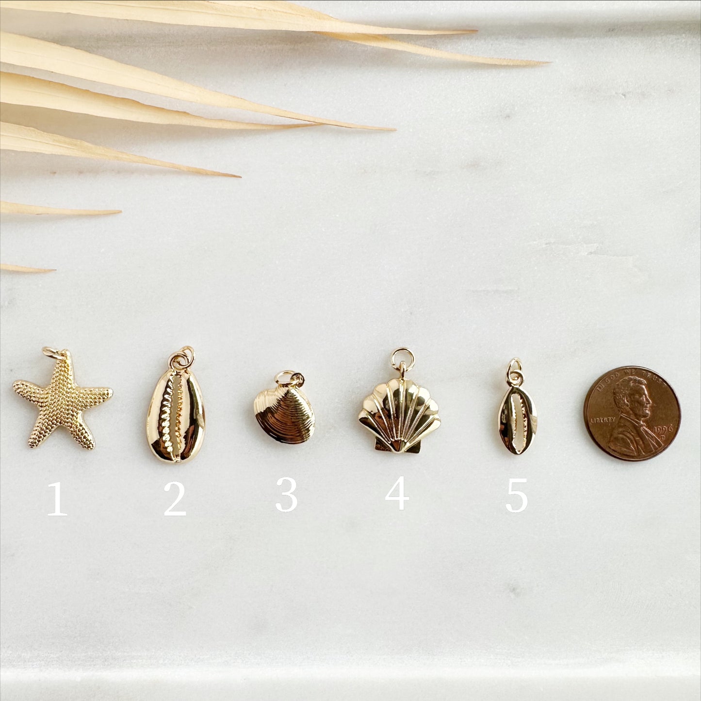 Shell Charms
