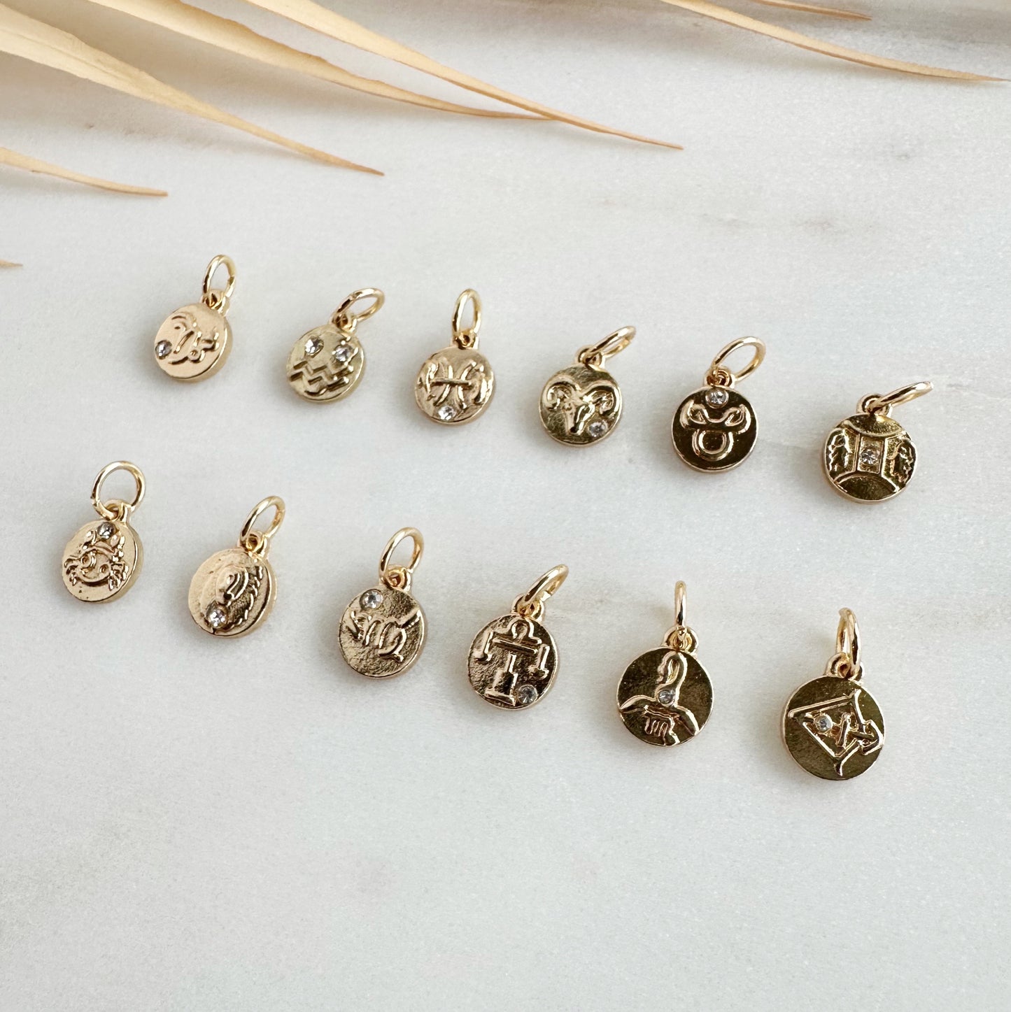 Zodiac Symbol Charms