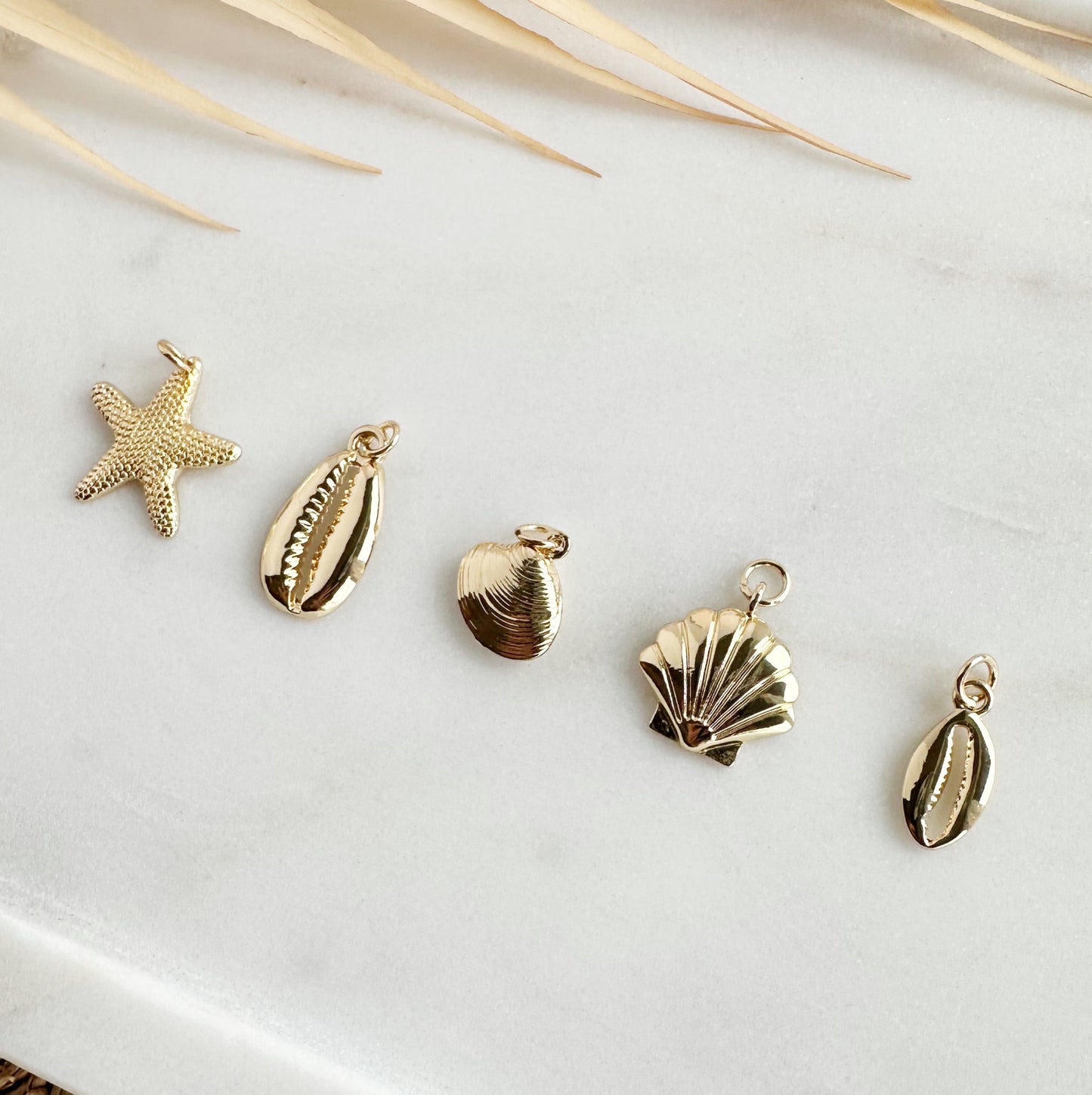 Shell Charms